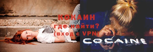 крисы Абаза