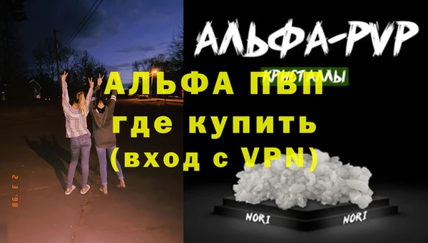 крисы Абаза