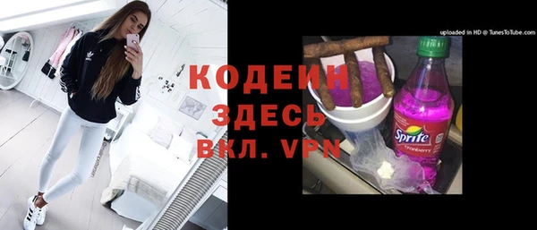 крисы Абаза