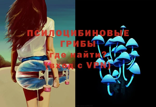 крисы Абаза