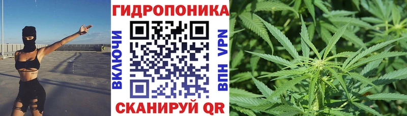 Канабис Amnesia  даркнет сайт  Анапа 